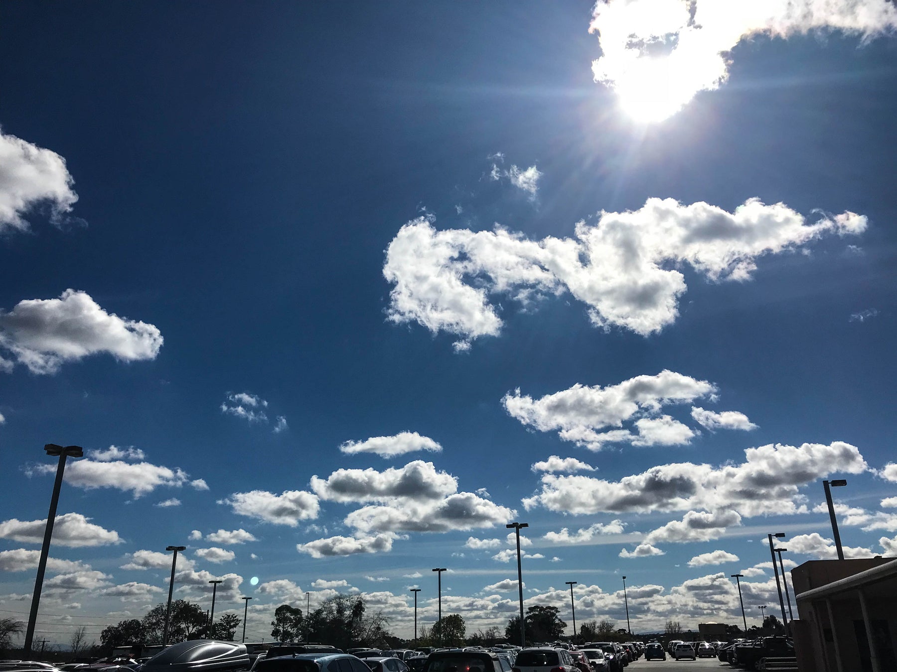 5 Real Reasons to Flip the Switch and Flex Your Gratitude Muscle Saint Belford