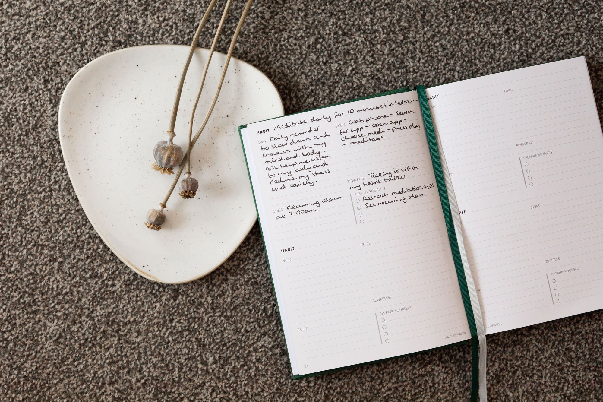 Curation diary open on the floor