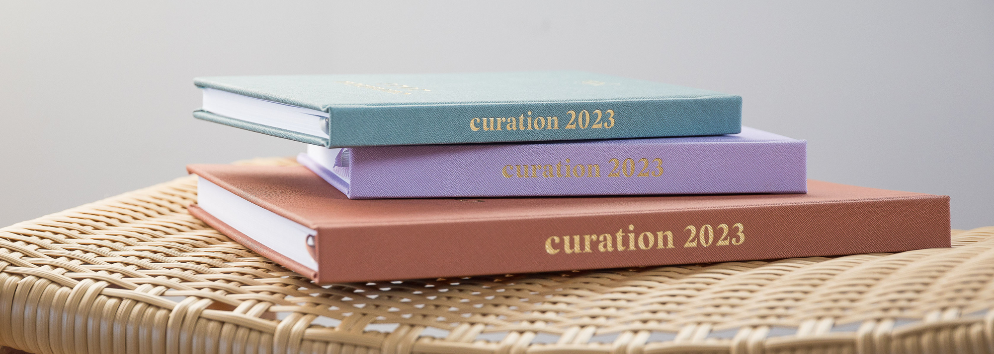 2023 Diary Collection