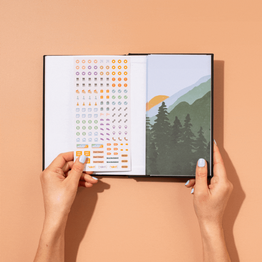 curation planner pocket