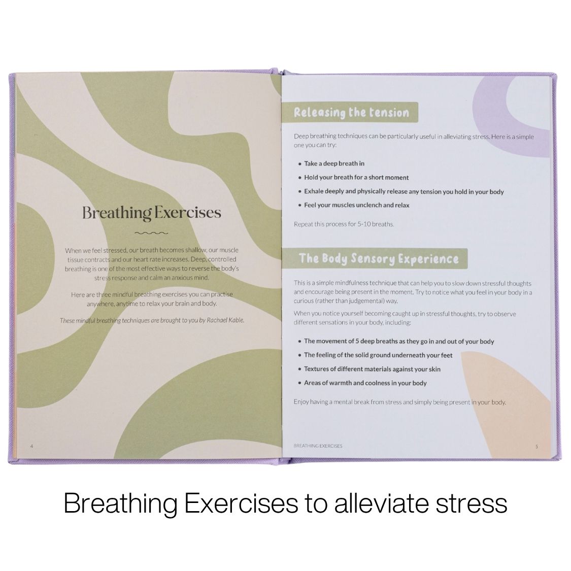 pledge to stay well journal