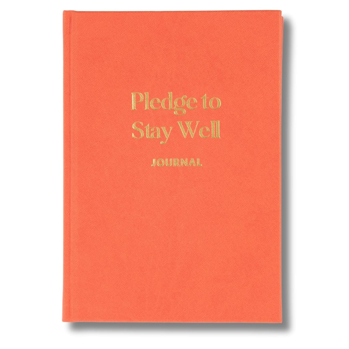 pledge to stay well journal