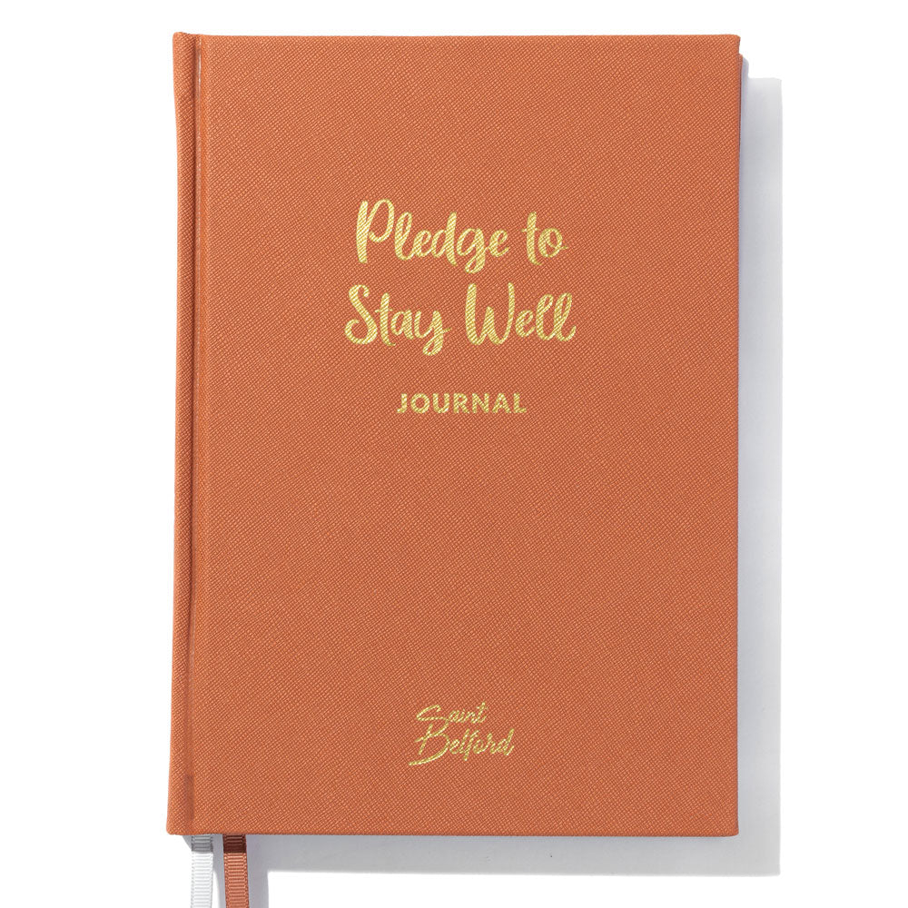 Pledge to Stay Well Terracotta